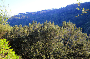 GOLE DELL ALCANTARA in Sicilia. Fotografie di Giulio Azzarello &copy;2016.