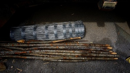 ULIVETO SICILIANO. Fotografie di Giulio Azzarello ©2022.