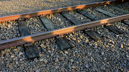 AUSCHHWITZ BIRKENAU la commemorazione. Fotografie di Giulio Azzarello &copy;2016.