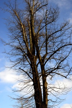VENEZIA Giardini della Biennale di Arch. Cont.. Fotografie di Giulio Azzarello ©2022.