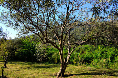 GOLE DELL ALCANTARA in Sicilia. Fotografie di Giulio Azzarello &copy;2016.