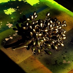 SPECCHIATI. Fotografia di Giulio Azzarello ©2023. SPECCHIATI. Fotografia di Giulio Azzarello ©2023.