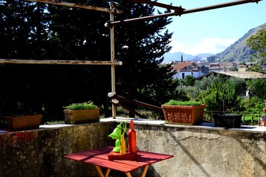 NATURE MORTE DIPINTE fotografie di Giulio Azzarello &copy;2022.