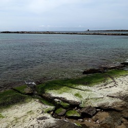 CAMMINANDO. Fotografie di Giulio Azzarello &copy;2024.