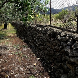 CAMMINANDO. Fotografie di Giulio Azzarello &copy;2024.