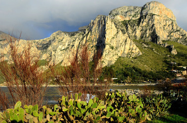 MACCHIA MEDITERRANEA in Sicilia. Fotografie di Giulio Azzarello &copy;2106.