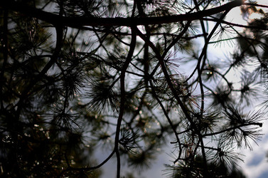 IL PARCO DELLE MADONIE da Polizzi Generosa in Sicilia. Fotografie di Giulio Azzarello &copy;2014.