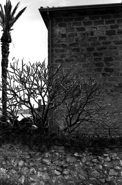 BIANCO NERO. Fotografie di Giulio Azzarello ©2021. BIANCO NERO. Fotografie di Giulio Azzarello ©2021.