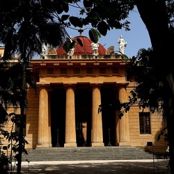 ORTO BOTANICO. Fotografie di Giulio Azzarello &copy;2024.