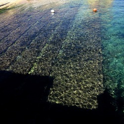 BARCHE. Fotografie di Giulio Azzarello &copy;2022.