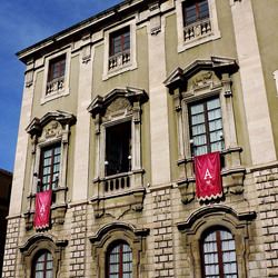 Festa di S.Agata a Catania. Fotografie di Giulio Azzarello ©2017.