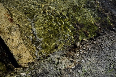 FEBBRAIO Fotografie di Giulio Azzarello &copy;2022.