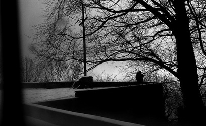 ASSISI fotografie di Giulio Azzarello &copy;2020.