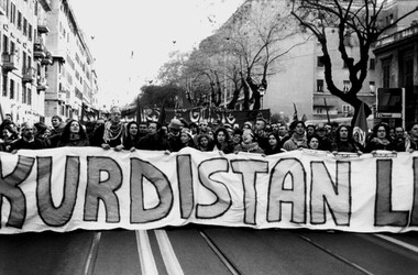MANIFESTAZIONE per la pace nel curdistan turco. Fotografie di Giulio Azzarello &copy;2014.