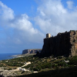 MACARI. Fotografie di Giulio Azzarello &copy;2023.