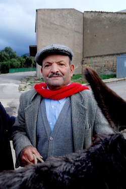 TIPICO FRANTOIO fotografie di Giulio Azzarello ©2014. TIPICO FRANTOIO fotografie di Giulio Azzarello ©2014.