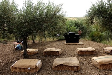 ULIVETO SICILIANO. Fotografie di Giulio Azzarello ©2022.