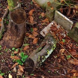 AUTUNNO fotografie di Giulio Azzarello ©2021. AUTUNNO fotografie di Giulio Azzarello ©2021.