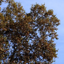 ROMA fotografie di Giulio Azzarello &copy;2022.