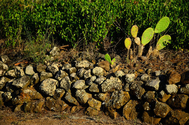 ISOLA DI USTICA pietre. Fotografie di Giulio Azzarello &copy;2016.