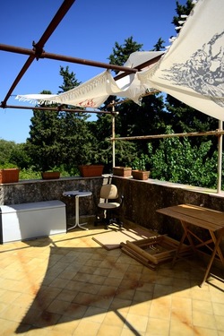 GIARDINO SICILIANO fotografie di Giulio Azzarello ©2021. GIARDINO SICILIANO fotografie di Giulio Azzarello ©2021.