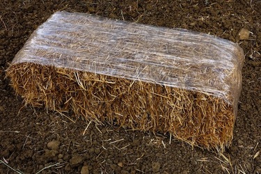 ULIVETO SICILIANO. Fotografie di Giulio Azzarello ©2022.