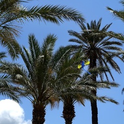 SAN VITO LO CAPO. Fotografie di Giulio Azzarello &copy;2023.