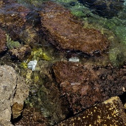 BAIA DEL CORALLO. Fotografie di Giulio Azzarello &copy;2022.