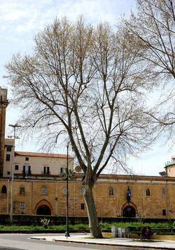 VILLA BONANNO a Palermo. Fotografie di Giulio Azzarello &copy;2016.