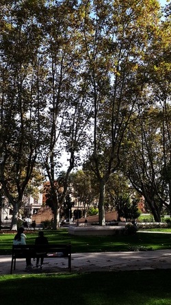 ROMA fotografie di Giulio Azzarello &copy;2022.