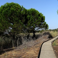 SELINUNTE. Fotografie di Giulio Azzarello ©2022. SELINUNTE. Fotografie di Giulio Azzarello ©2022.