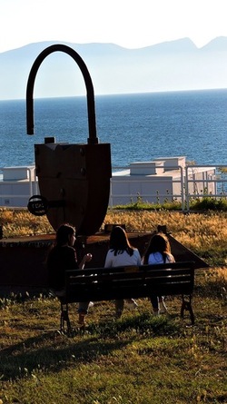 CAPO RAMA riserva naturale Terrasini. Fotografie di Giulio Azzarello &copy;2020.