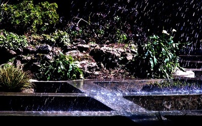 ORTO BOTANICO di Palermo. Fotografie di Giulio Azzarello ©2021.