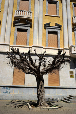 TRAPANI il centro storico il porto il mare la colombaia. Fotografie di Giulio Azzarello ©2014. TRAPANI il centro storico il porto il mare la colombaia. Fotografie di Giulio Azzarello ©2014.