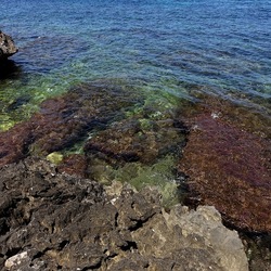 BAIA DEL CORALLO. Fotografie di Giulio Azzarello &copy;2022.