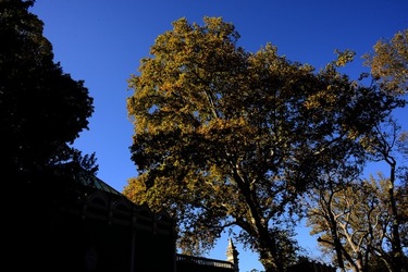 VENEZIA Giardini della Biennale di Arch. Cont.. Fotografie di Giulio Azzarello ©2022.