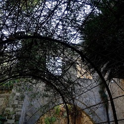 Arabo Normanno. Fotografie di Giulio Azzarello ©2024. Arabo Normanno. Fotografie di Giulio Azzarello ©2024.