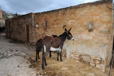 IL PRESEPE VIVENTE DI CUSTONACI in Sicilia. Fotografie di Giulio Azzarello ©2014. IL PRESEPE VIVENTE DI CUSTONACI in Sicilia. Fotografie di Giulio Azzarello ©2014.