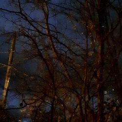 INVERNO. Fotografie di Giulio Azzarello &copy;2023.