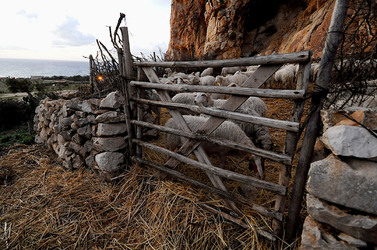 IL PRESEPE VIVENTE DI CUSTONACI in Sicilia. Fotografie di Giulio Azzarello ©2014. IL PRESEPE VIVENTE DI CUSTONACI in Sicilia. Fotografie di Giulio Azzarello ©2014.