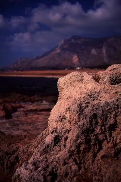 DIGITALIZZAZIONI fotografie di Giulio Azzarello &copy;2020.