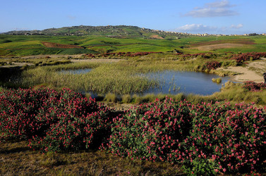 PAESAGGIO SICILIANO nel luogo delle macalube in Sicilia. Fotografie di Giulio Azzarello &copy;2014.