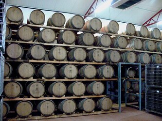 VIGNETO tipico siciliano a Salemi panoramiche e particolari. Fotografie di Giulio Azzarello &copy;2014.