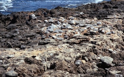 SCOGLIERA ROSSA fotografie di Giulio Azzarello &copy;2021.
