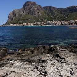 BAIA DEL CORALLO. Fotografie di Giulio Azzarello &copy;2022.