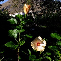 AUTUNNO fotografie di Giulio Azzarello ©2021. AUTUNNO fotografie di Giulio Azzarello ©2021.