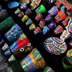 ORTO BOTANICO di PALERMO. Fotografie di Giulio Azzarello ©2019.