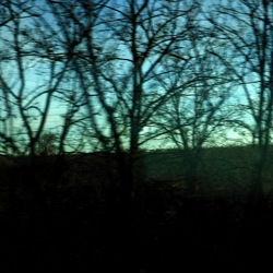 TRENO fotografie di Giulio Azzarello ©2020. TRENO fotografie di Giulio Azzarello ©2020.