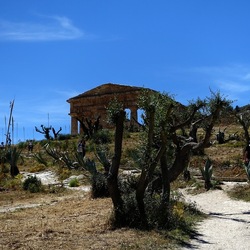 SEGESTA. Fotografie di Giulio Azzarello ©2024. SEGESTA. Fotografie di Giulio Azzarello ©2024.