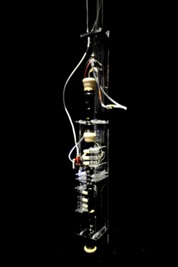 BIENNALE di VENEZIA Arte Contemporanea Giardini. Fotografie di Giulio Azzarello &copy;2020.